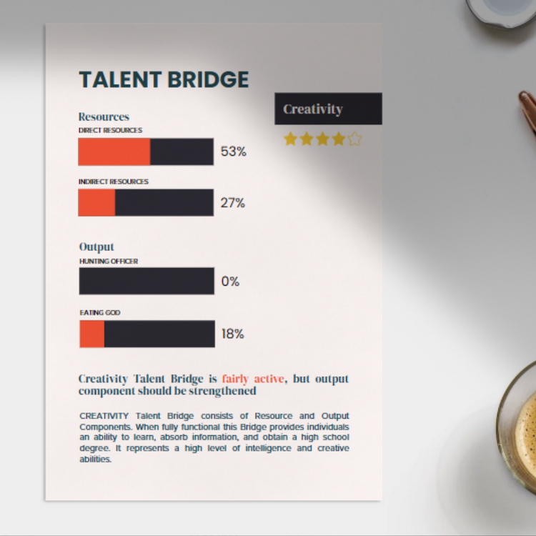 BaZi Destiny Consultation Packages