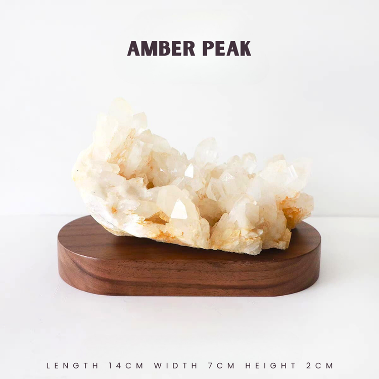 BaZi Destiny Consultation Packages