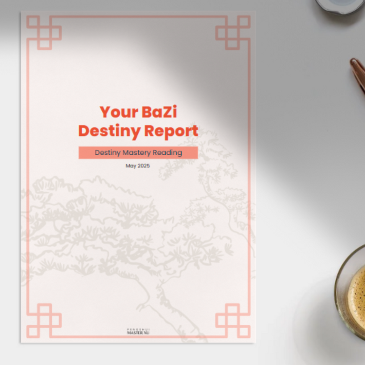 BaZi Destiny Consultation Packages