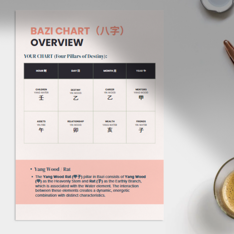 BaZi Destiny Consultation Packages