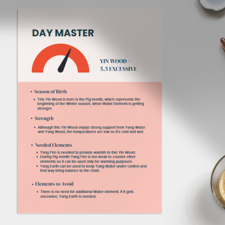 BaZi Destiny Consultation Packages