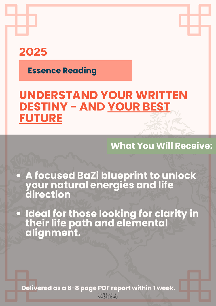 BaZi Destiny Consultation Packages