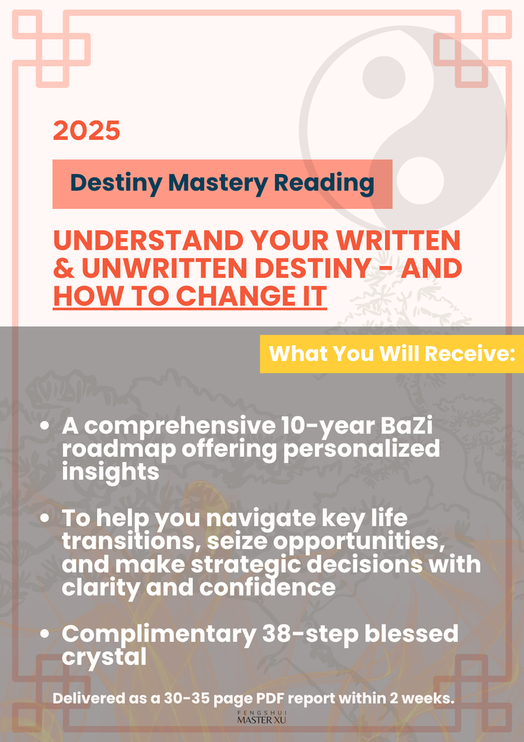BaZi Destiny Consultation Packages