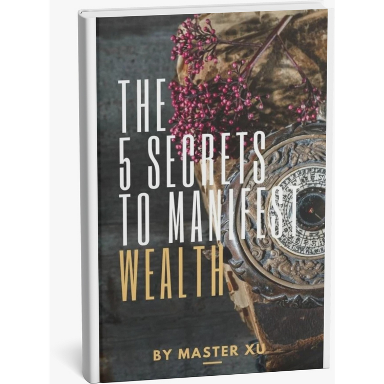 The 5 Secrets - To Manifest Wealth