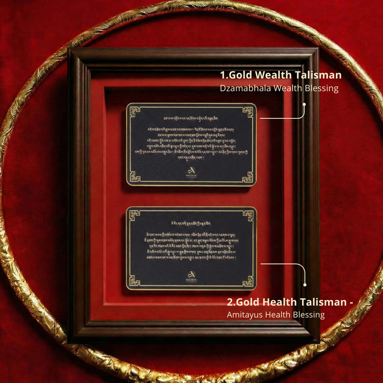 Harmony of Wealth & Health