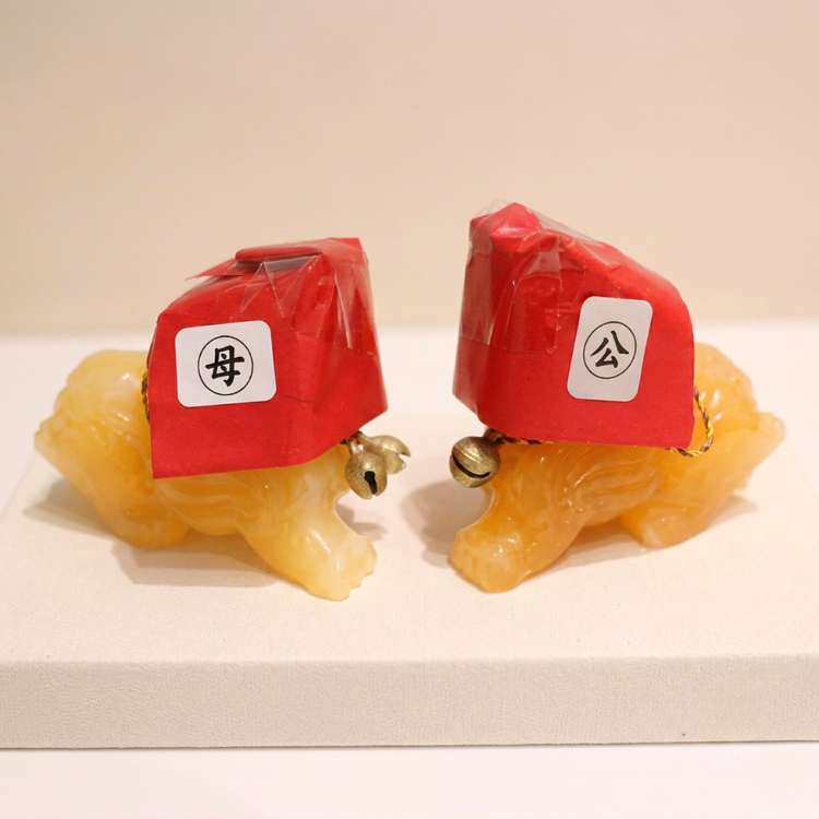 The House of Fortune Guardians