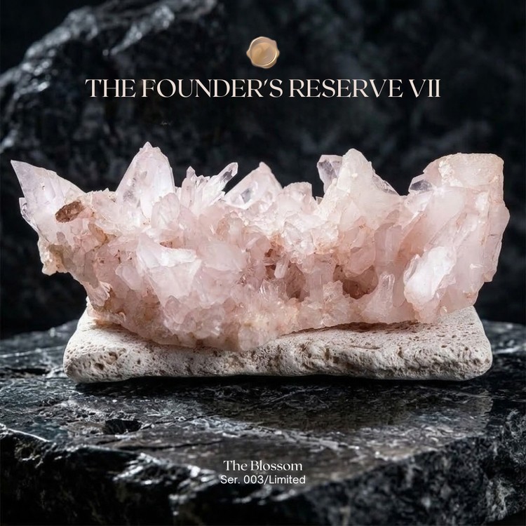 The Founder's Reserve VII