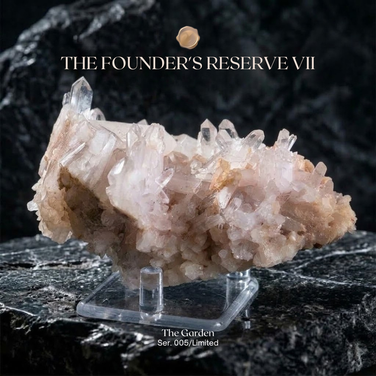 The Founder's Reserve VII